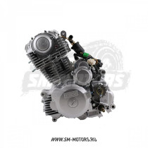 Двигатель в сборе ZS165FMM( CBB250) 223см3, возд. охл., электростартер, (для ATV 4 пер + реверс)