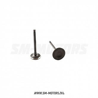 Клапаны (компл. 2шт) 4T двиг. LF120, YX125, YX140 стандартные d=23/27 SM-PARTS купить