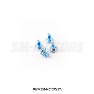 Болты тормозного диска SM-PARTS SM-DB11 (4 шт) купить