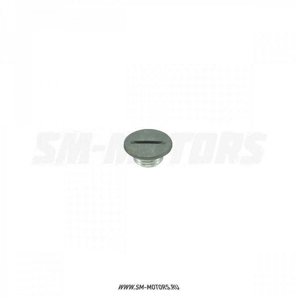 Пробка малая левой крышки картера Senke ^ купить Пробка малая левой крышки картера Senke ^ купить
