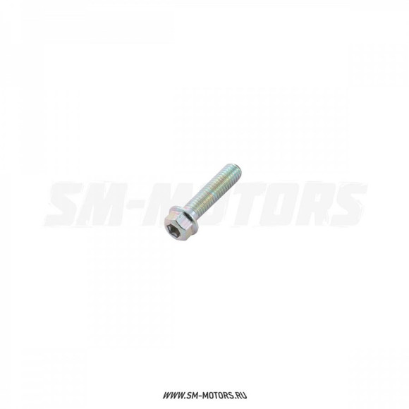 Болт М6х25 Torx T30 купить