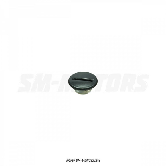 Пробка малая левой крышки картера двиг. ZS172FMM ^ купить Пробка малая левой крышки картера двиг. ZS172FMM ^ купить