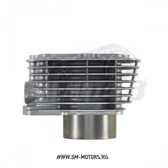 Цилиндро-поршневая группа 4T двиг. CG250 d-67, p-16 (тефлон) SM-PARTS купить Цилиндро-поршневая группа 4T двиг. CG250 d-67, p-16 (тефлон) SM-PARTS купить