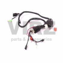 Жгут проводов TTR250a