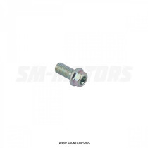 Болт М8х16 Torx T40