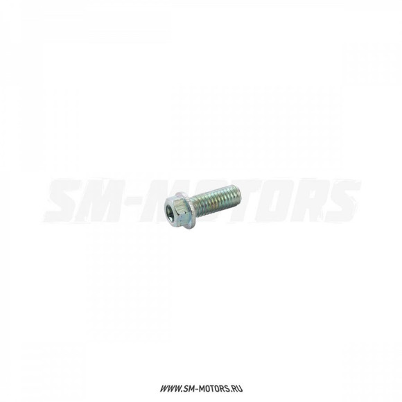 Болт М8х20 Torx T40 купить