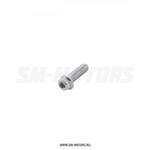 Болт М8х25 Torx T40 купить