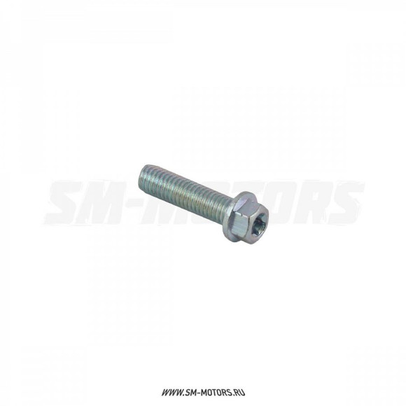 Болт М8х30 Torx T40 купить