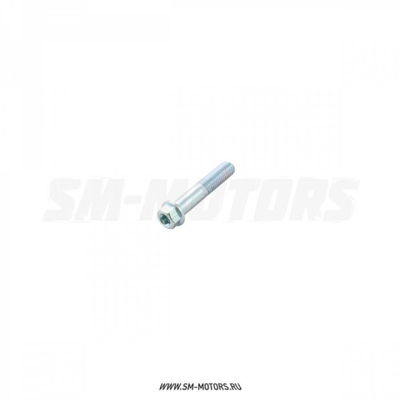 Болт М8х40 Torx T40 купить