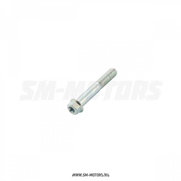 Болт М8х50 Torx T40 купить