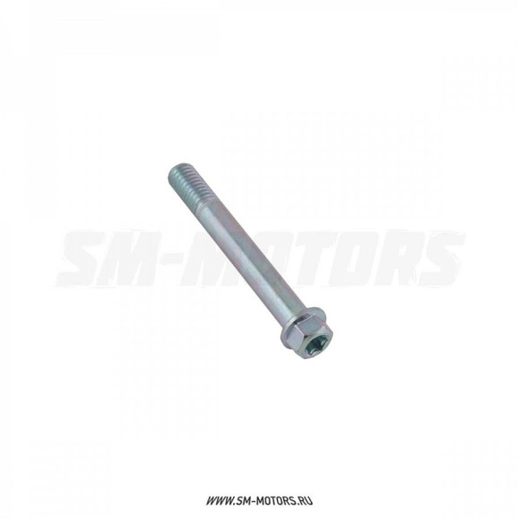 Болт М8х55 Torx T40 купить