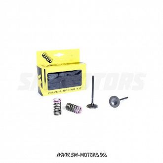 Клапаны впускные PRO-X (сталь) с пружинами KAWASAKI KXF450 09-18 (28.SIS4409-2) купить Клапаны впускные PRO-X (сталь) с пружинами KAWASAKI KXF450 09-18 (28.SIS4409-2) купить