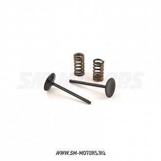 Клапаны впускные PRO-X (сталь) с пружинами KTM EXC-F350 12-16 HUSQVARNA FE350 14-16 (28.SIS6353-2) купить