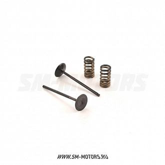 Клапаны впускные PRO-X (сталь) с пружинами KTM SX-F250 08-12 EXC-F250 08-13 (28.SIS6329-2) купить