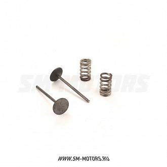 Клапаны впускные PRO-X (сталь) с пружинами KTM SX-F250 13-15 HUSQVARNA FC250 14-15 (28.SIS6333-2) купить