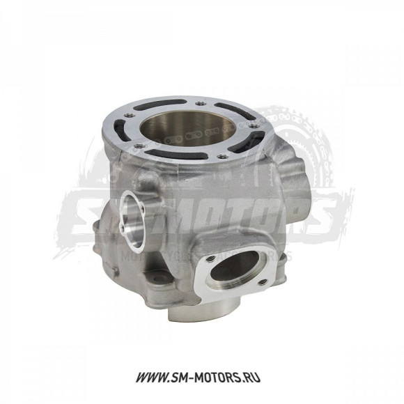 Цилиндр GR7 двиг. MT-250 2T OEM купить Цилиндр GR7 двиг. MT-250 2T OEM купить