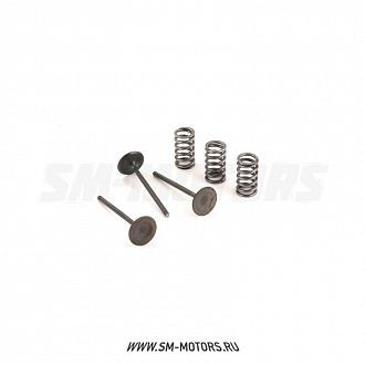 Клапаны впускные PRO-X (сталь) с пружинами YAMAHA YZF450 03-09 WRF450 03-15 (28.SIS2424-2) купить