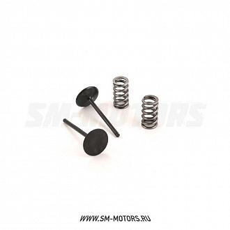 Клапаны впускные PRO-X (сталь) с пружинами YAMAHA YZF450 14-17 WRF450 16-18 (28.SIS2444-2) купить