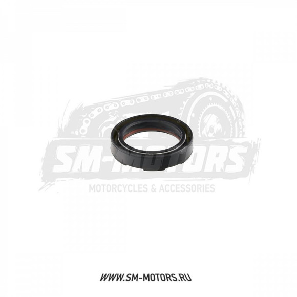 Сальник 40х55х10 GR7 двиг. MT-250 2T OEM купить Сальник 40х55х10 GR7 двиг. MT-250 2T OEM купить