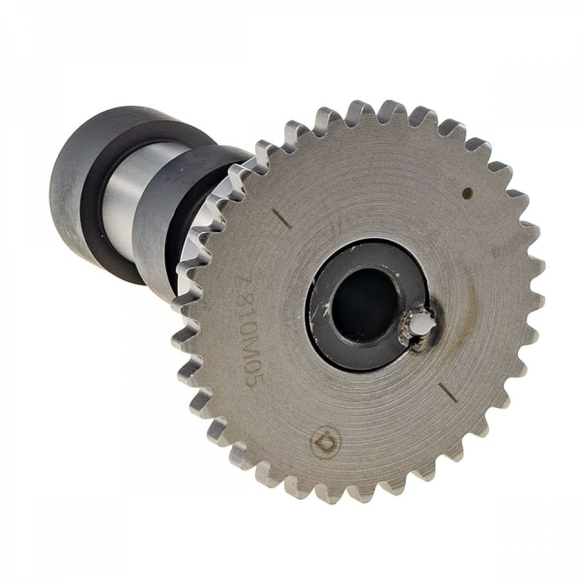 Распредвал впускных клапанов KAYO двиг. ZS NC250S (вод.охл.) CN купить Распредвал впускных клапанов KAYO двиг. ZS NC250S (вод.охл.) CN купить