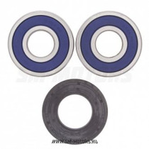 Подшипники заднего колеса ALL BALLS KAWASAKI VN1500 88-08 VN1600 Classic 03-08 (25-1353)