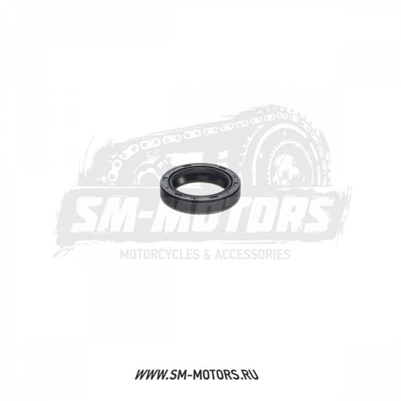 Сальник 17х24х5 рычага прогрессии KAYO T-серия купить Сальник 17х24х5 рычага прогрессии KAYO T-серия купить