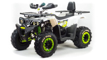 Квадроцикл MotoLand 200 WILD TRACK LUX (2021 г.) A