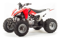 Квадроцикл MotoLand 250S (2020 г.)