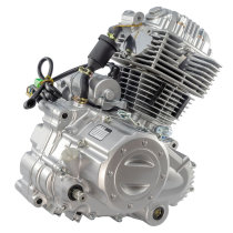 Двигатель в сборе ZS 165FMM ( CBB250) 223см3, возд. охл., электростартер, балансир, 5 передач
