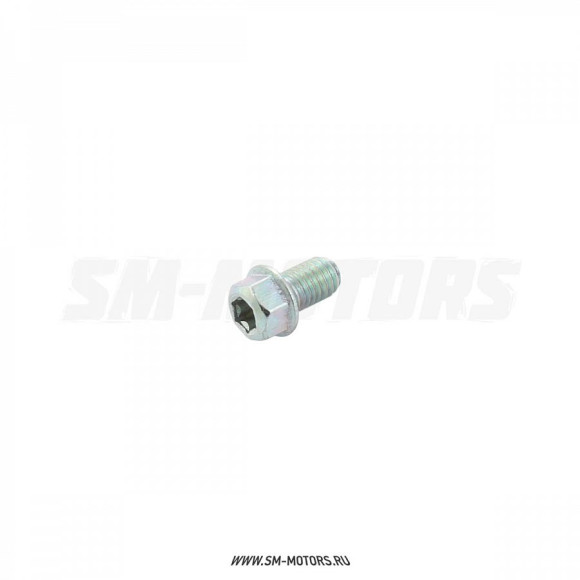 Болт М6х10 Torx T30 купить